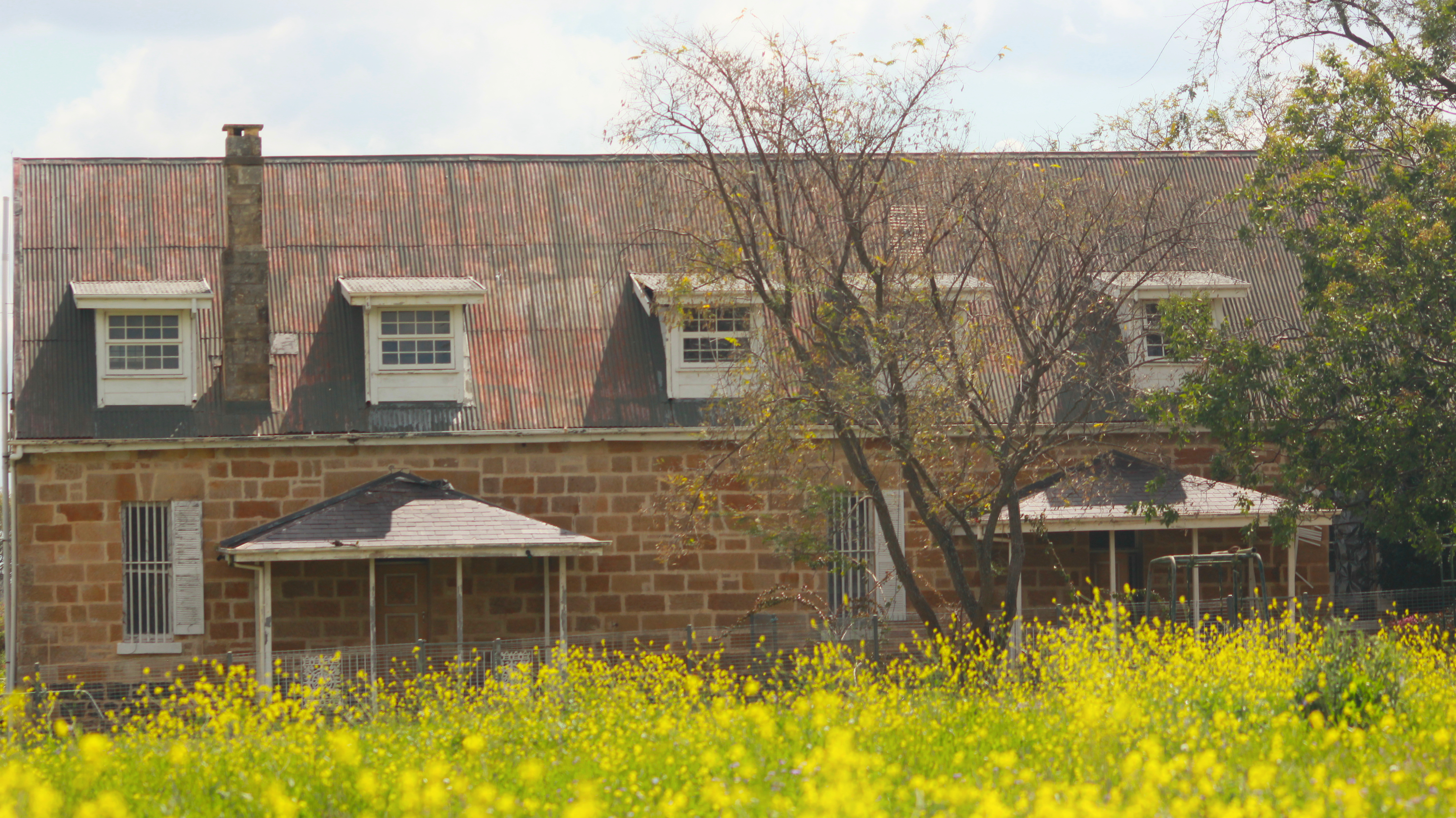 The same house but with the yellow of the flowers being more pronounced and no greenery in sight